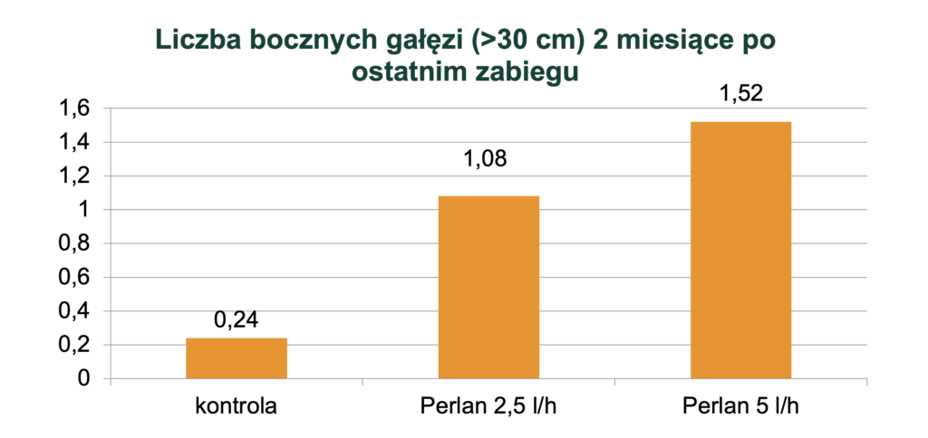 Perlan pędy do 30 cm